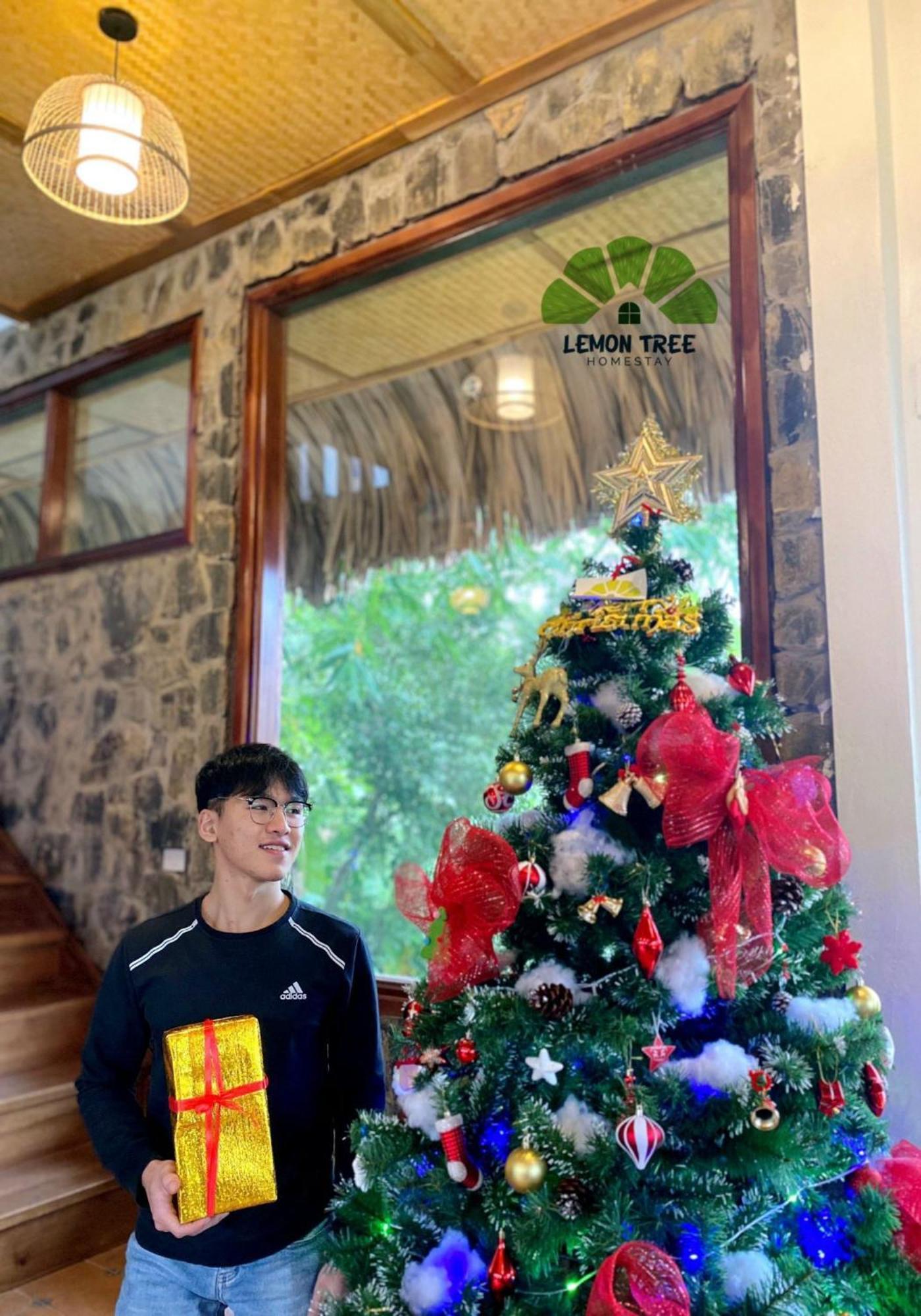 נין בין Lemon Tree Homestay Tam Coc מראה חיצוני תמונה