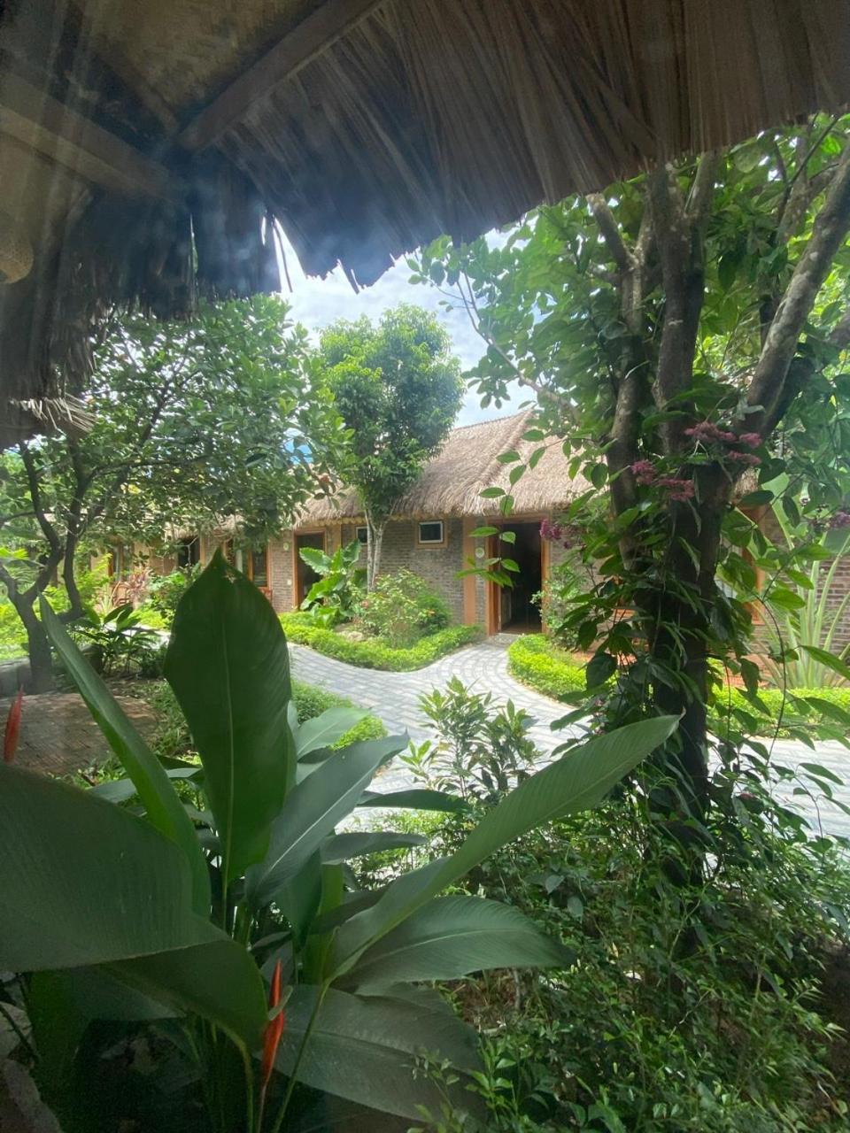נין בין Lemon Tree Homestay Tam Coc מראה חיצוני תמונה